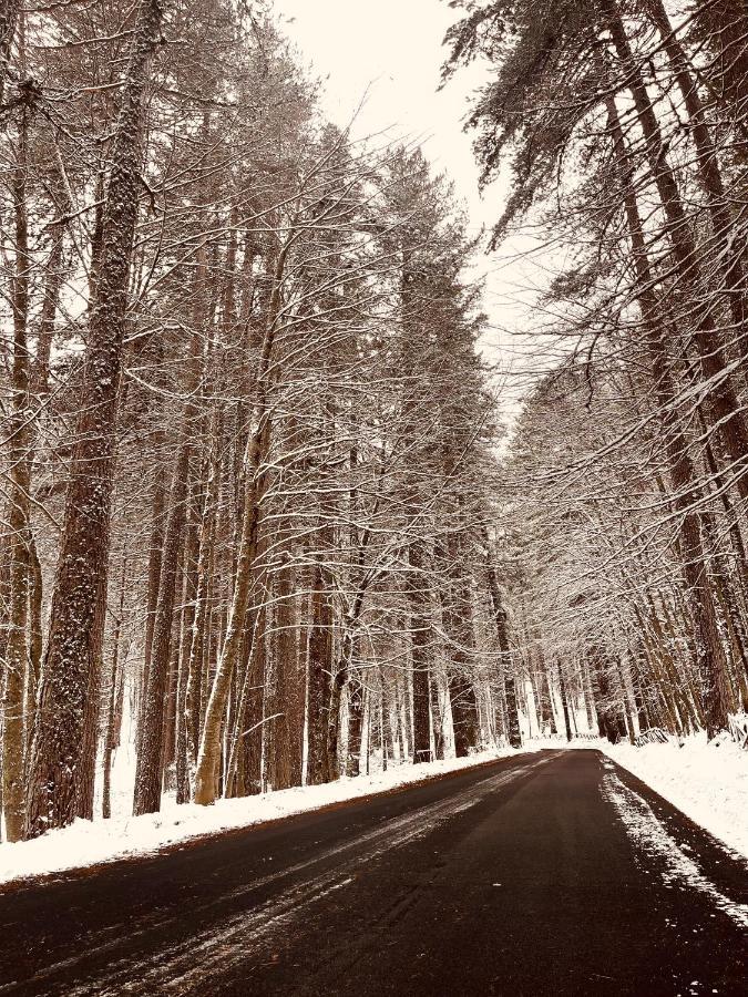 La Veranda nella Neve - Camigliatello Silano Esterno foto